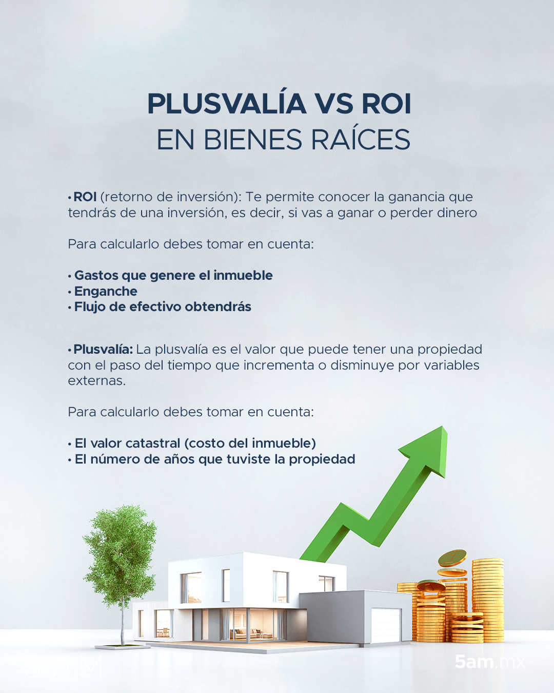 roi vs plusvalia